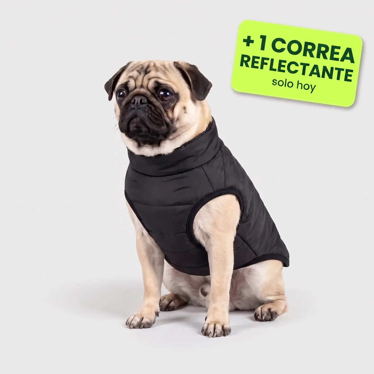 Pelux Polar™ – El abrigo con arnés integrado