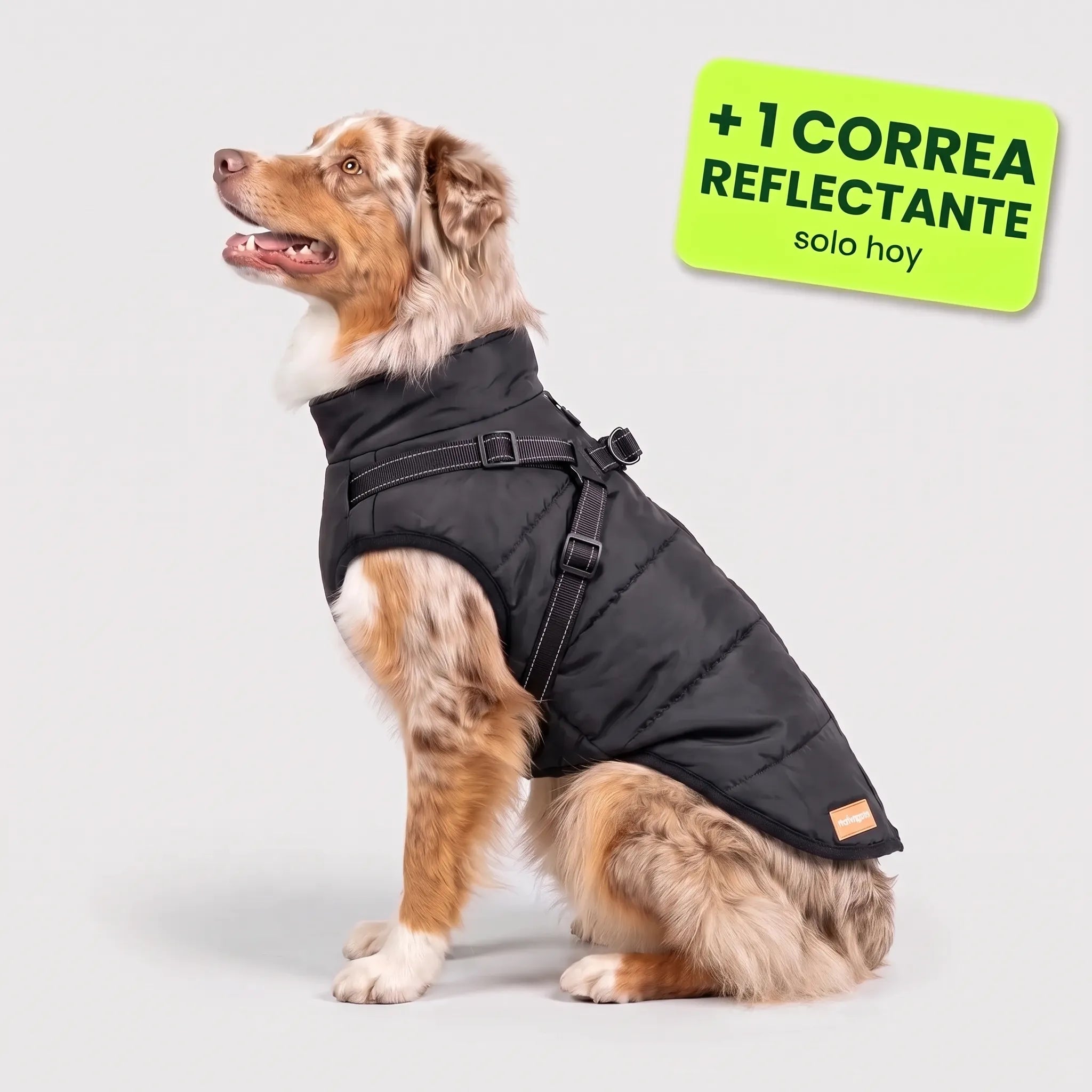 Pelux Polar™ – El abrigo con arnés integrado