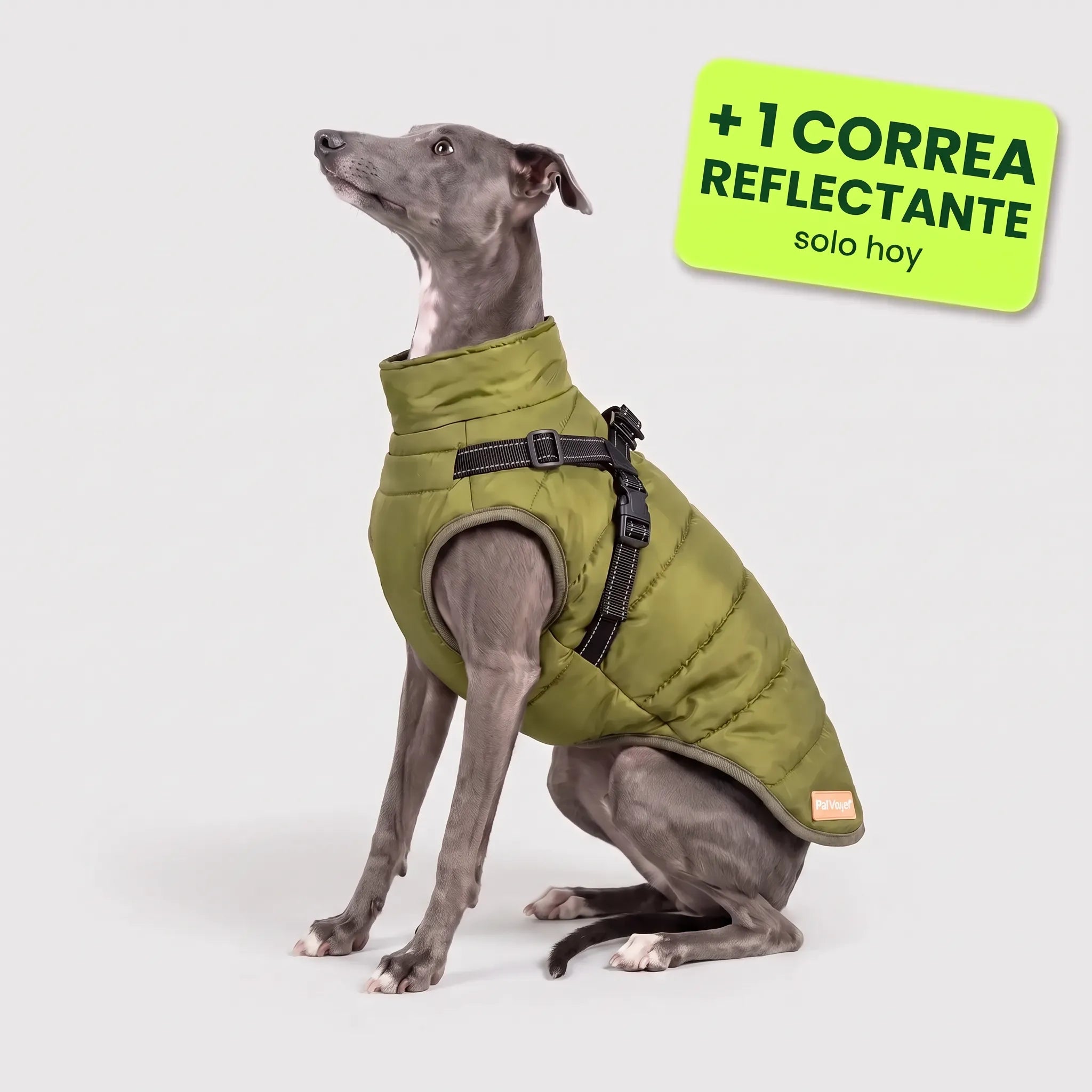 Pelux Polar™ – El abrigo con arnés integrado