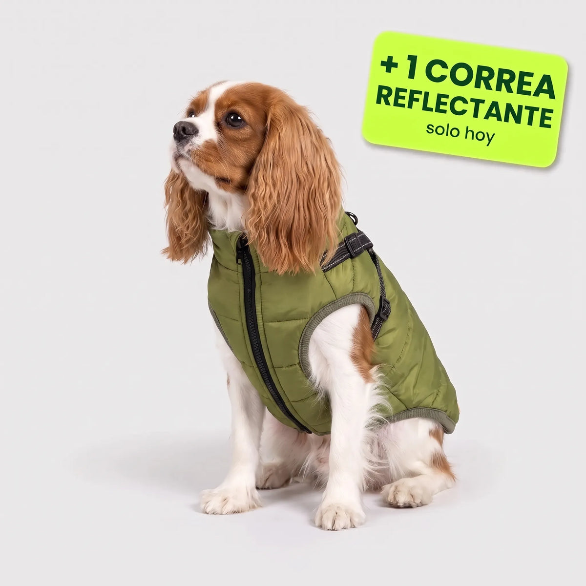 Pelux Polar™ – El abrigo con arnés integrado