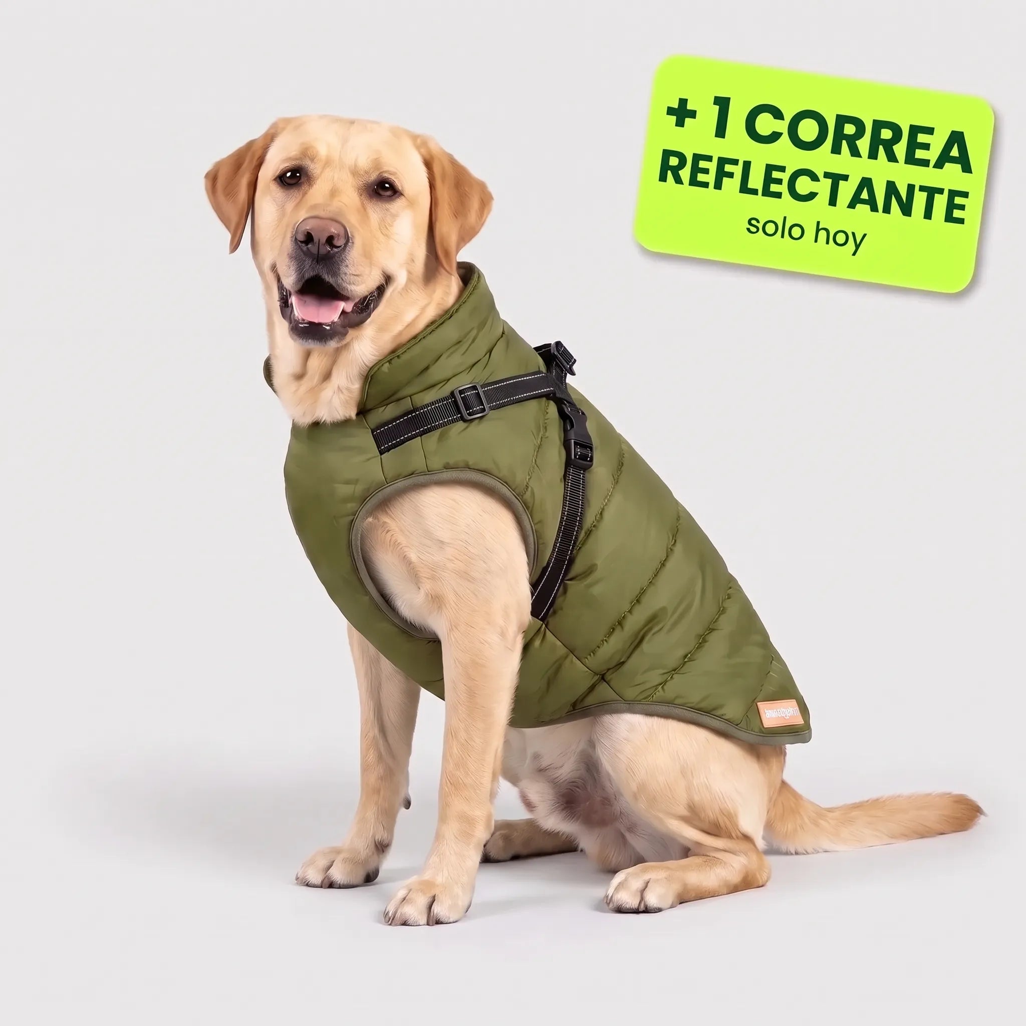 Pelux Polar™ – El abrigo con arnés integrado