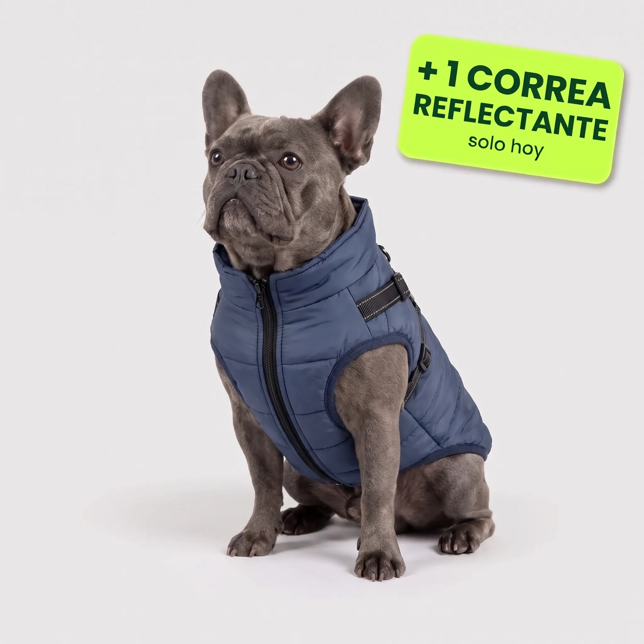 Pelux Polar™ – El abrigo con arnés integrado
