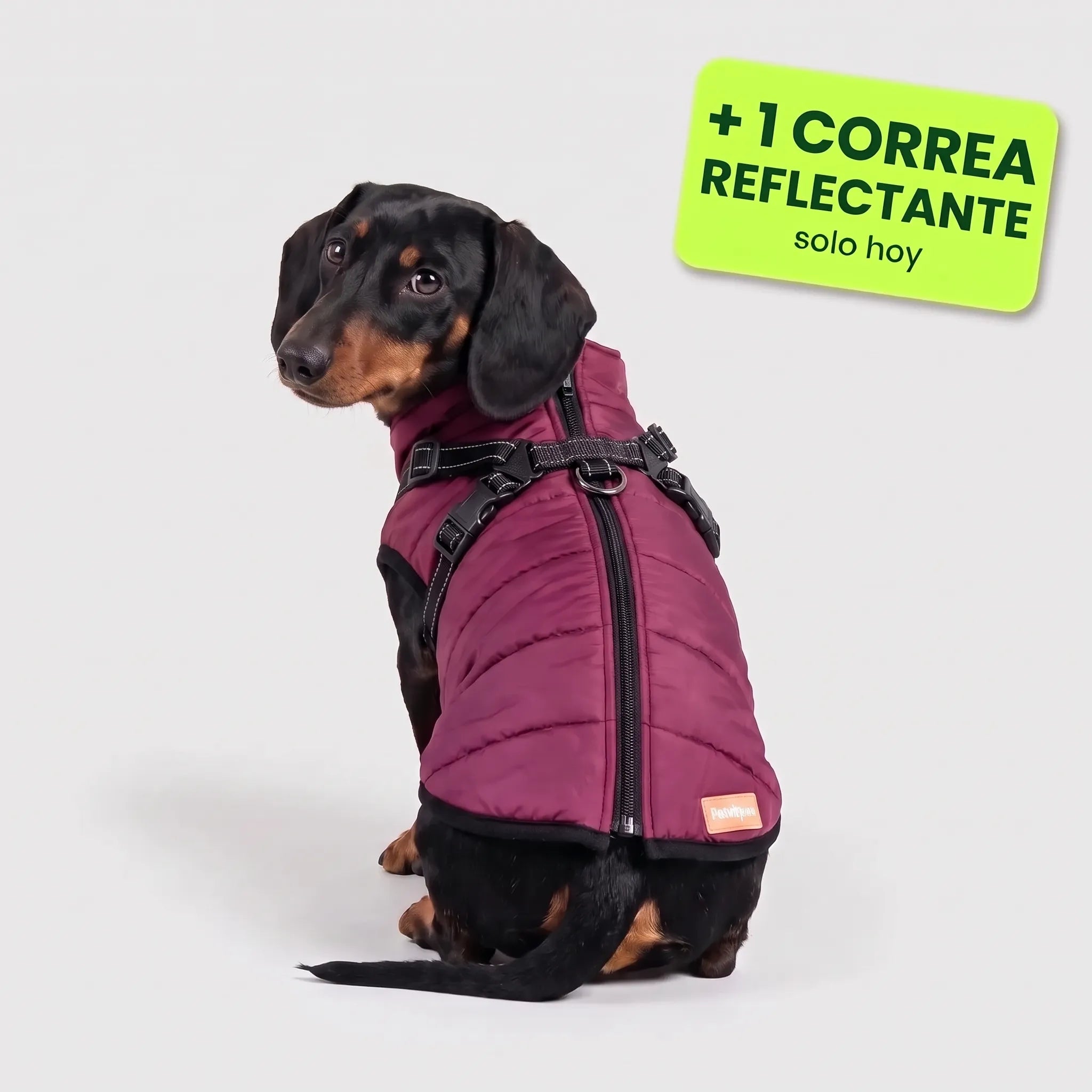 Pelux Polar™ – El abrigo con arnés integrado