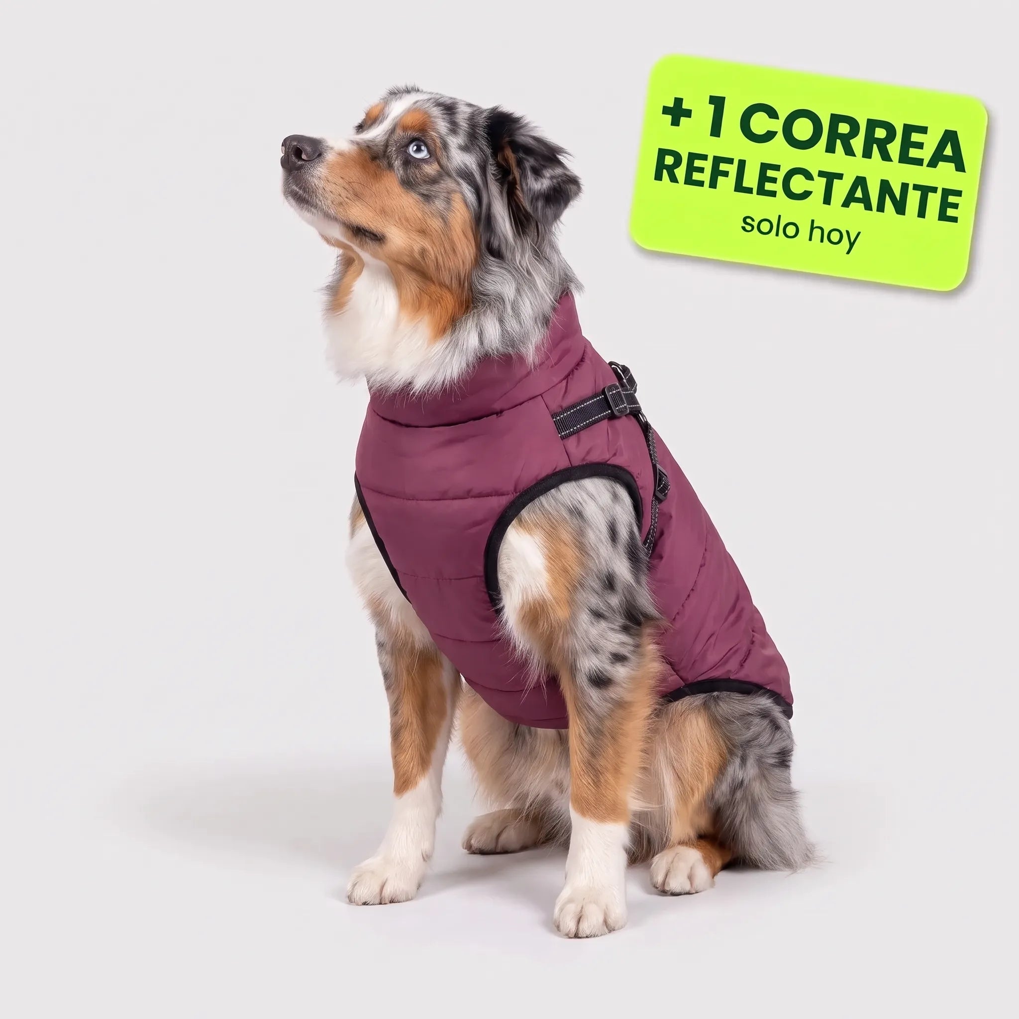 Pelux Polar™ – El abrigo con arnés integrado
