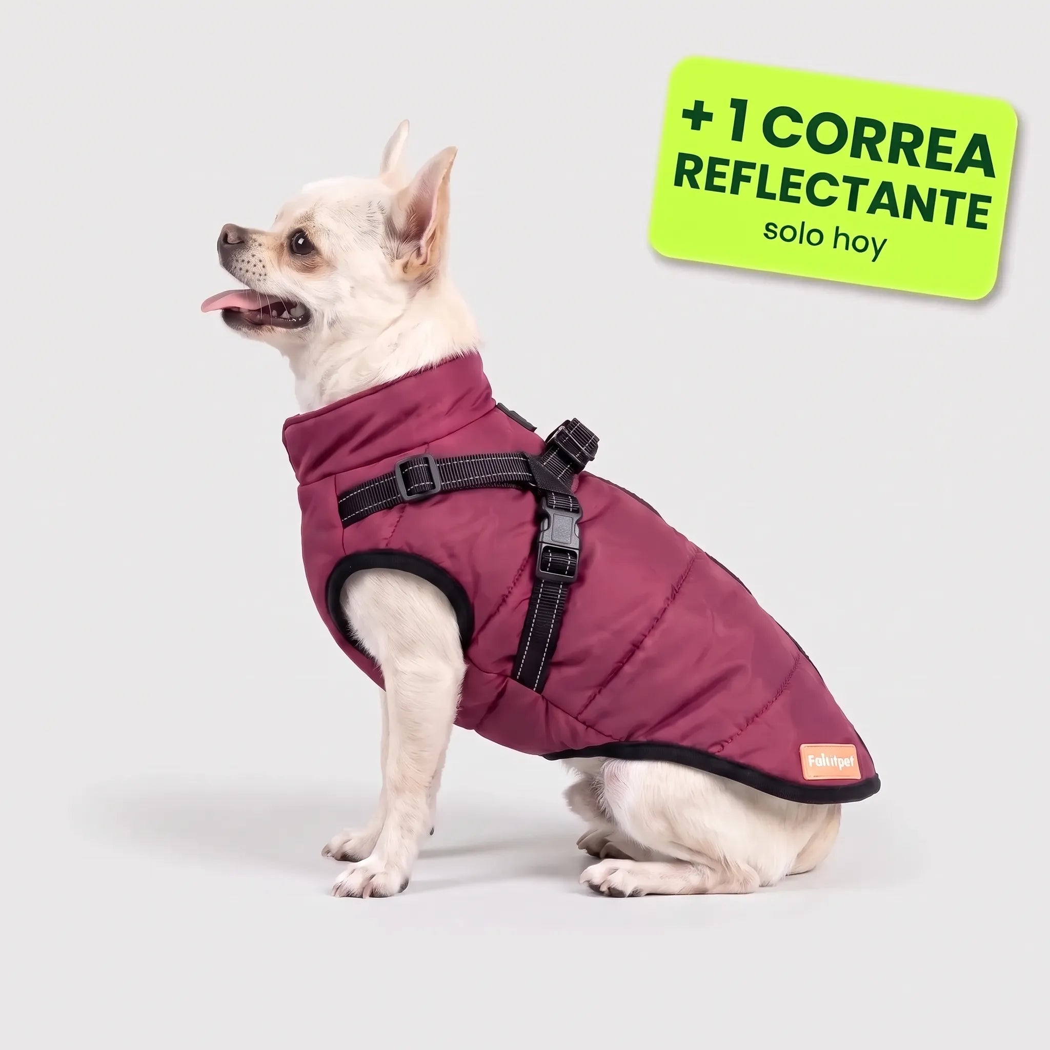 Pelux Polar™ – El abrigo con arnés integrado