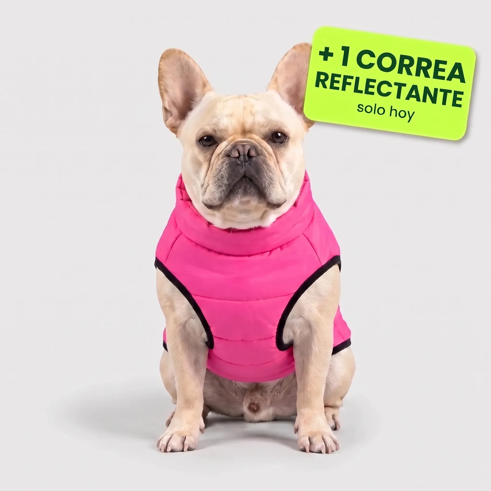 Pelux Polar™ – El abrigo con arnés integrado