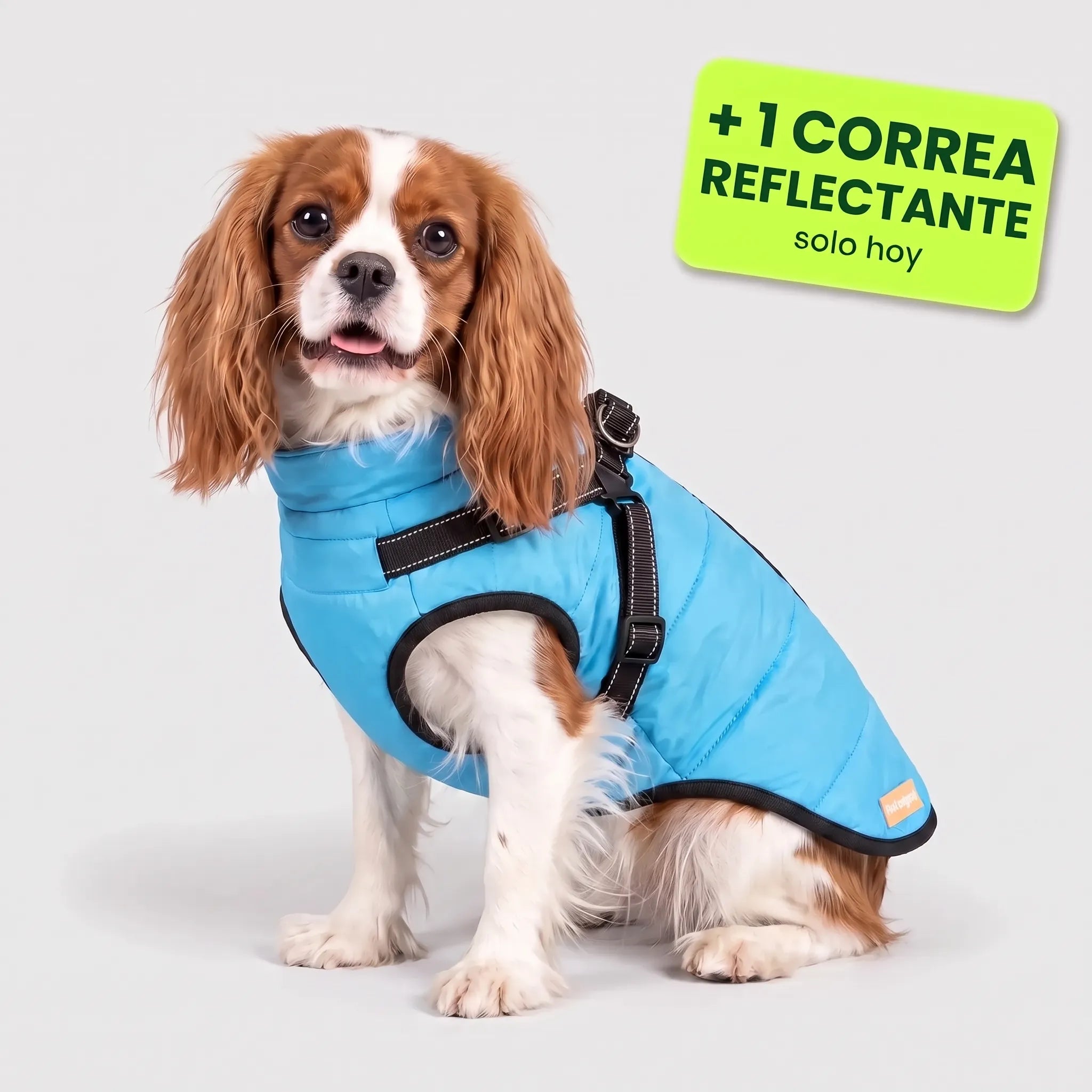 Pelux Polar™ – El abrigo con arnés integrado