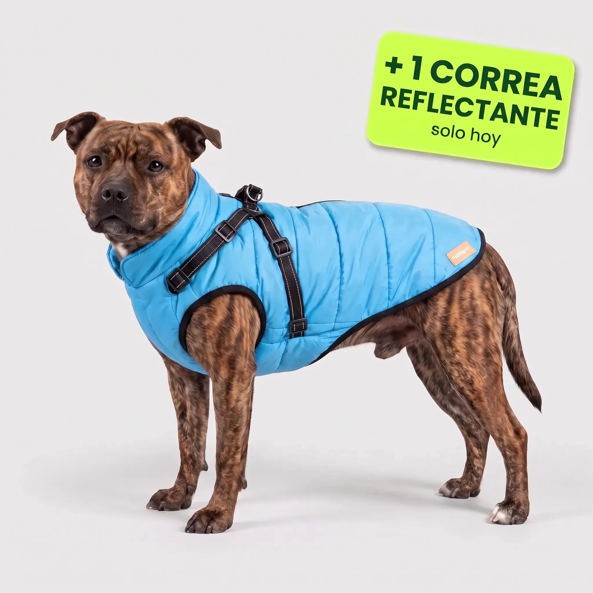 Pelux Polar™ – El abrigo con arnés integrado