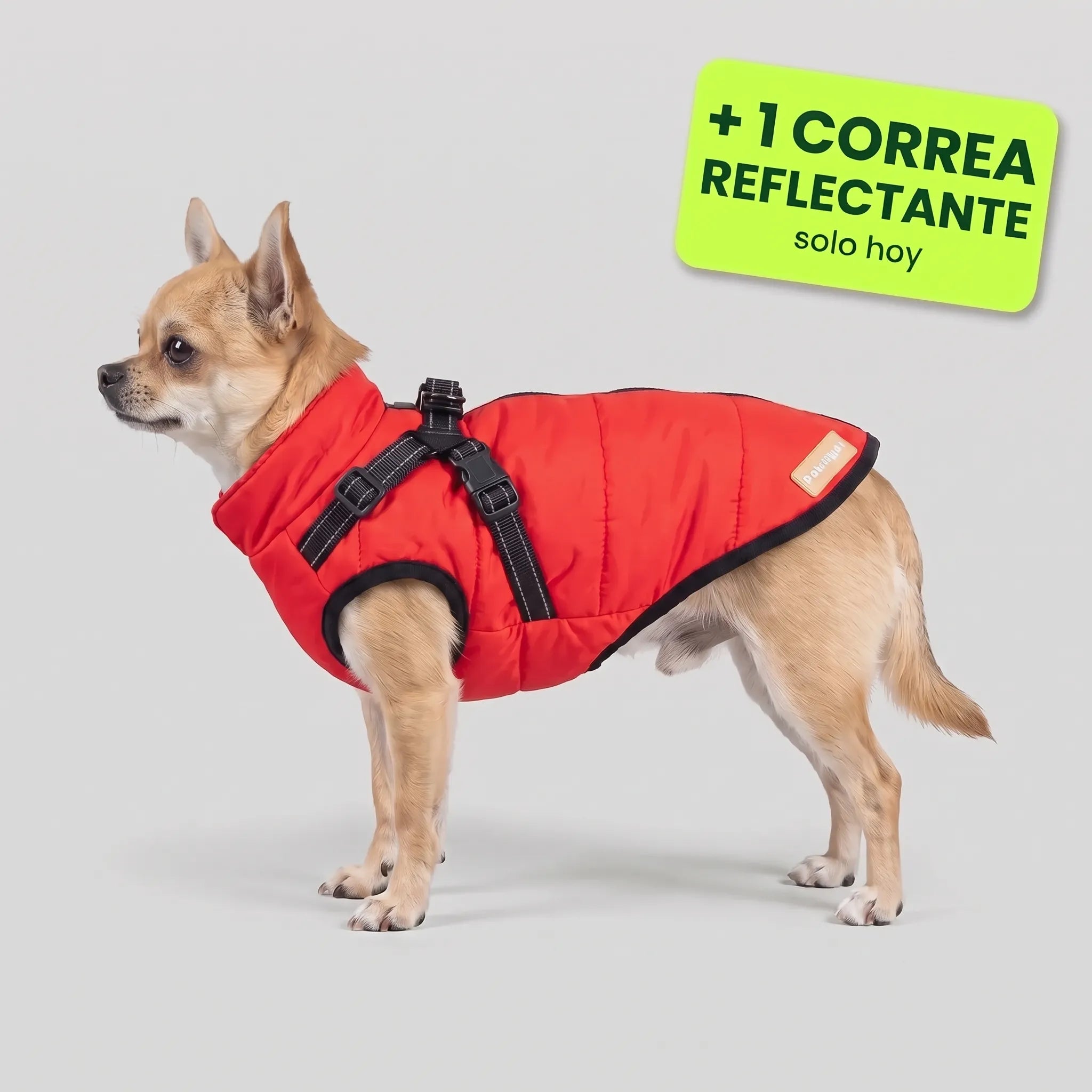 Pelux Polar™ – El abrigo con arnés integrado