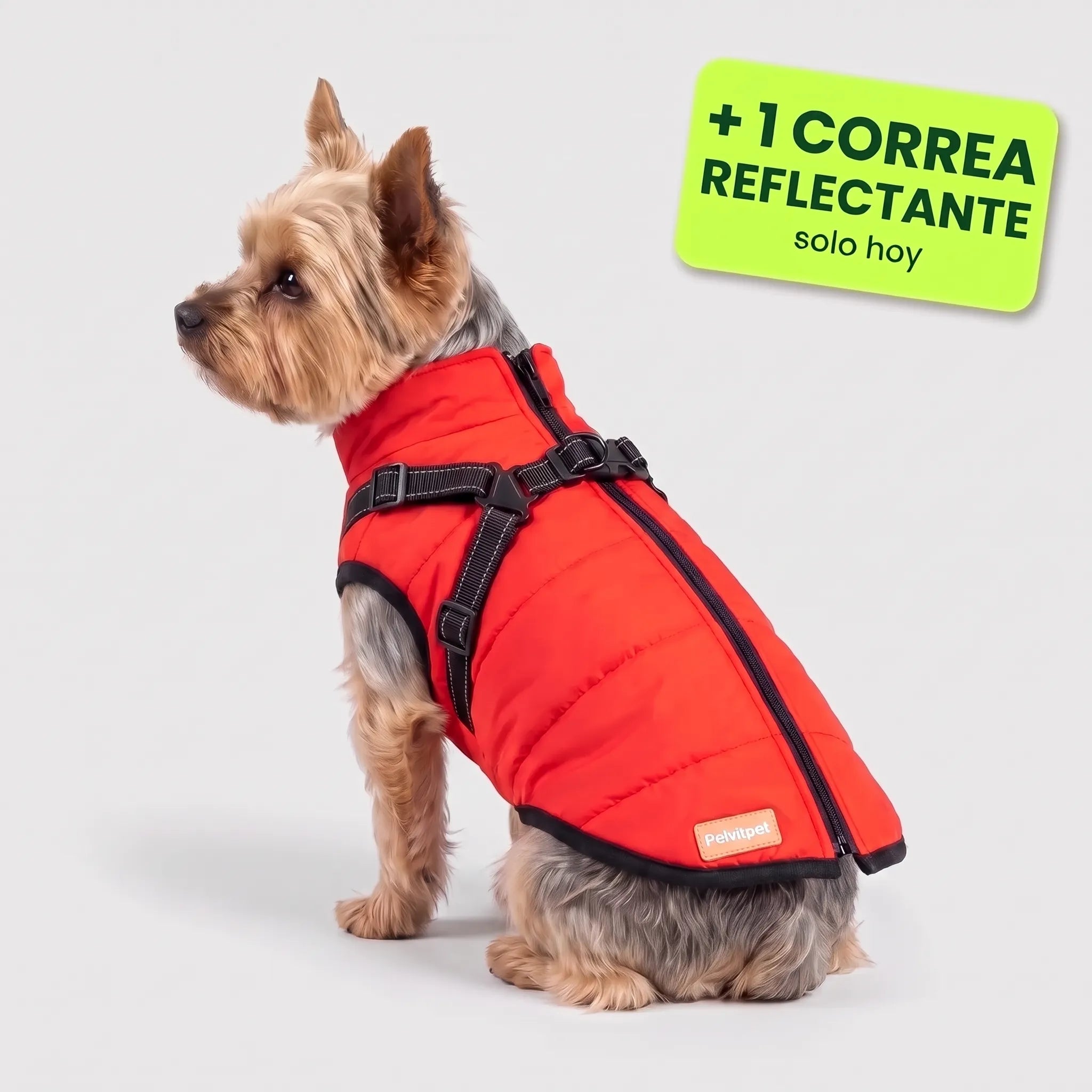 Pelux Polar™ – El abrigo con arnés integrado