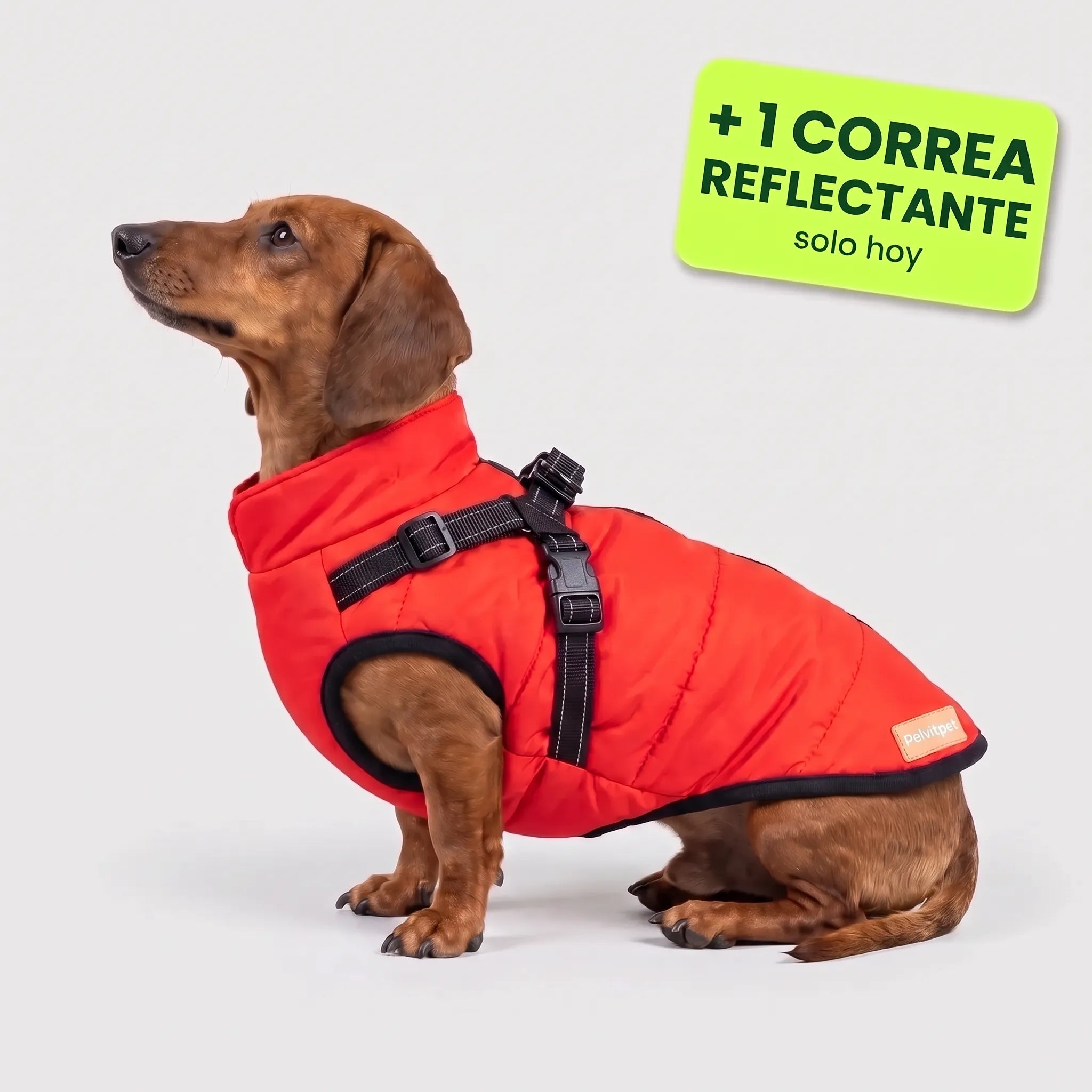 Pelux Polar™ – El abrigo con arnés integrado