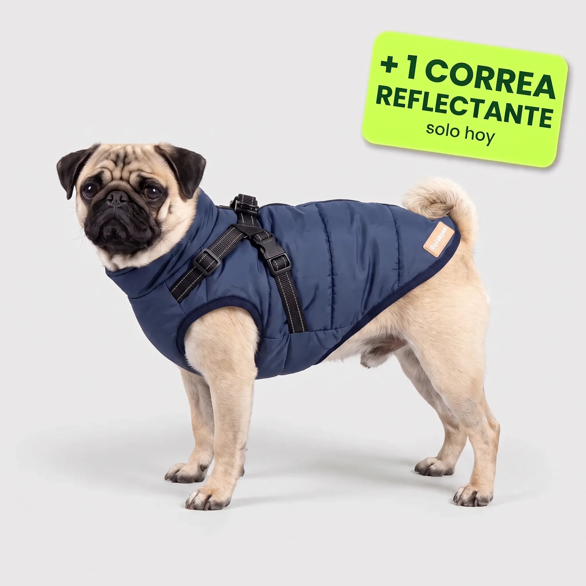 Pelux Polar™ – El abrigo con arnés integrado